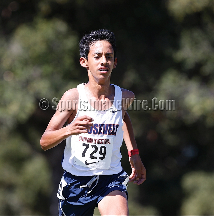 2015SIxcHSSeeded-106.JPG - 2015 Stanford Cross Country Invitational, September 26, Stanford Golf Course, Stanford, California.